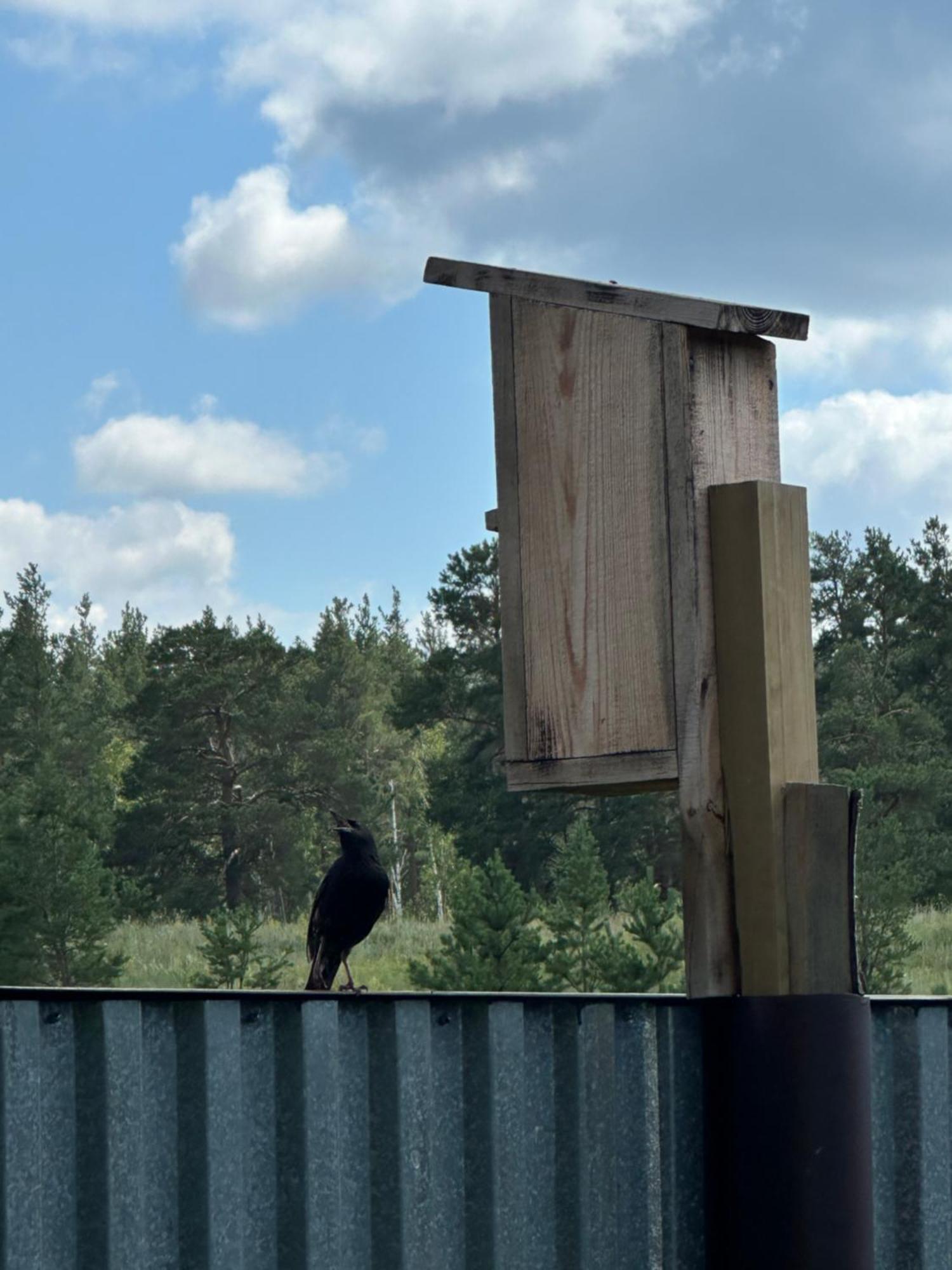 Opushka Holiday home Vorob'yevka